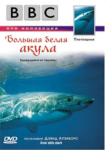 Постер: BBC: Большая белая акула / Great White Shark (1995)
