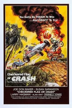 Постер: Клетчатый флаг или катастрофа (1977)