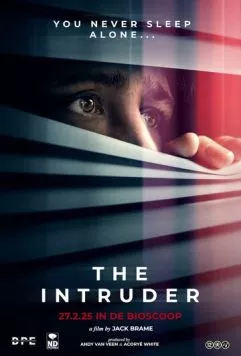 Постер: Незваный гость / The Intruder (2024)