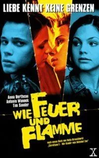 Постер: Как огонь и пламя / Wie Feuer und Flamme (2001)