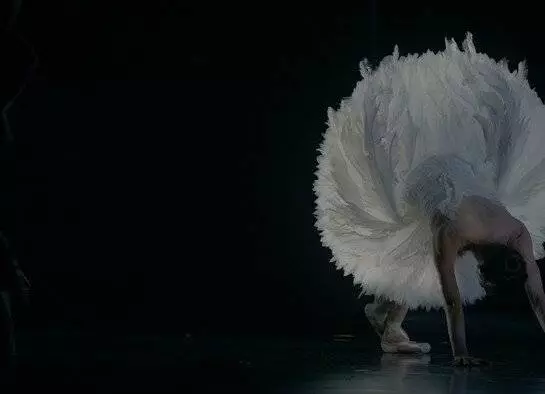 Кадр из TheatreHD: Лебединая песня (2023) Кадр 2 из фильма TheatreHD: Лебединая песня / Swan Song (2023)