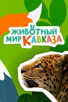 Постер: Животный мир Кавказа (2022)
