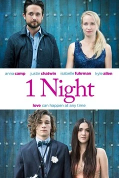 Постер: Одна ночь / One Night (2016)