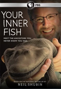 Постер: Внутренняя рыба / Der Fisch in uns (2014)