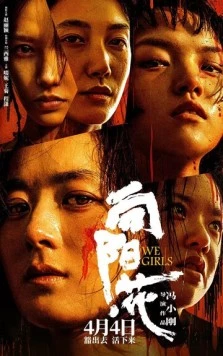 Постер: Мы, девочки / Xiang yang hua (2025)
