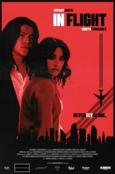 Постер: В полёте / In Flight (2024)