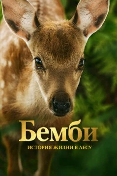Постер: Бемби. История жизни в лесу / Bambi, l'histoire d'une vie dans les bois (2024)