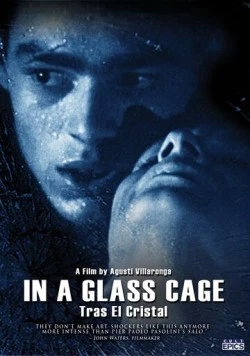 Постер: За стеклом / Tras el cristal (1987)