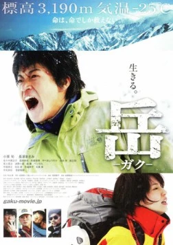 Постер: Вершина: Спасатели (2011)