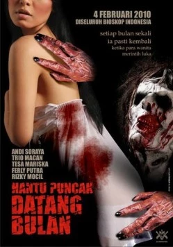 Постер: Менструирующий призрак Пункак / Hantu Puncak Datang Bulan (2010)