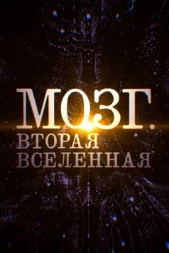 Постер: Мозг. Вторая Вселенная (2017)