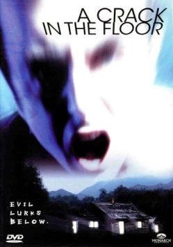 Постер: Трещина в полу (2001)