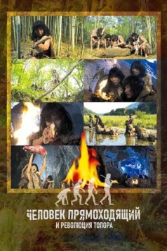 Постер: Человек прямоходящий и революция топора / Homo Erectus and the Hand Axe Revolution (2012)