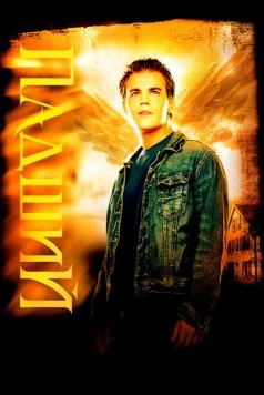 Постер: Падший (2006)