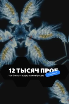 Постер: 12 тысяч проб (2022)