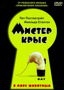 Постер: Мистер крыс / Rat (2000)