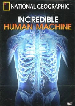 Постер: Невероятное тело человека / Incredible Human Machine (2007)