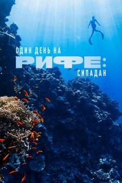 Постер: Один день на рифе: Сипадан / A Day on the Reef: Sipadan (2024)