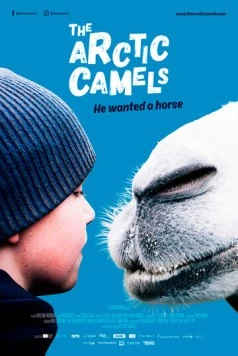 Постер: Мой друг северный верблюд (2019)