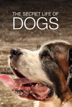 Постер: Тайная жизнь собак / Secret Life of Dogs (2017)