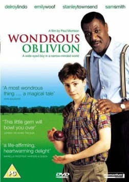Постер: Удивительная забывчивость / Wondrous Oblivion (2003)