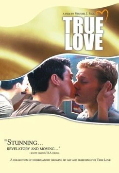Постер: Истинная любовь / True Love (2004)