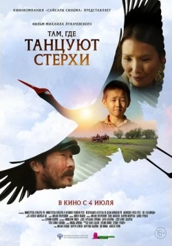 Постер: Там, где танцуют стерхи (2024)