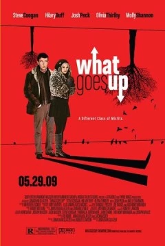 Постер: Запасное стекло (2009)