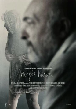 Постер: Госпожа Нергиз / Nergis Hanim (2014)