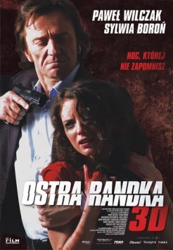 Постер: Жесткое свидание (2013)
