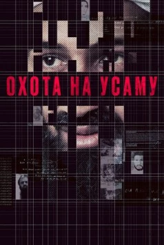 Постер: Охота на Усаму / Manhunt: The Inside Story of the Hunt for Bin Laden (2013)