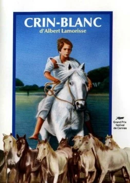 Постер: Белая грива: Дикая лошадь / Crin blanc: Le cheval sauvage (1953)