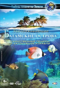 Постер: Багамские острова 3D: Таинственные пещеры и затонувшие корабли / Adventure Bahamas 3D: Mysterious Caves And Wrecks (2012)