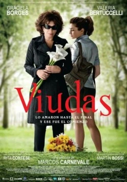 Постер: Вдовы / Viudas (2011)