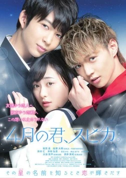 Постер: Апрельское сияние / Shigatsu no Kimi, Supika (2019)