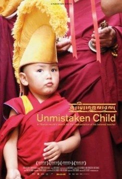 Постер: Избранный / Unmistaken Child (2008)