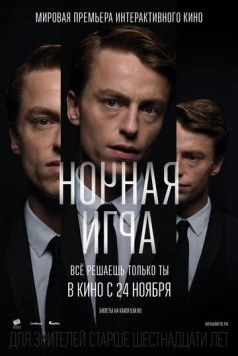 Постер: Ночная игра (2016)