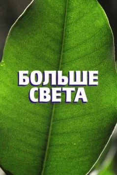 Постер: Больше света (2023)