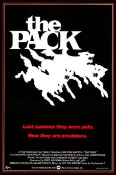 Постер: Стая / The Pack (1977)