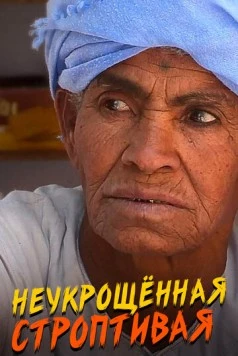 Постер: Неукрощенная строптивая (2015)