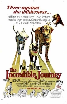 Постер: Невероятное путешествие / The Incredible Journey (1963)