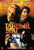 Постер: Тайный враг (1996)