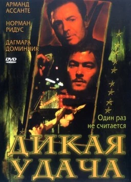 Постер: Дикая удача / Tough Luck (2003)