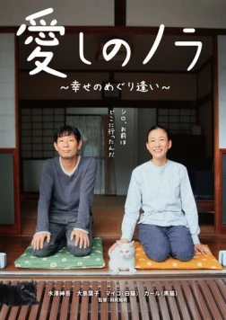 Постер: Милая бродяжка / Itoshi no Nora, shiawase no meguriai (2017)