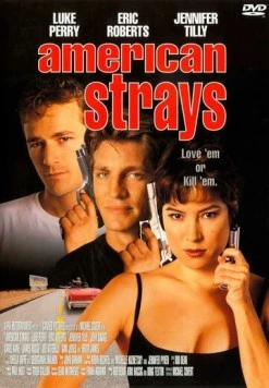 Постер: Американские бродяги (1996)