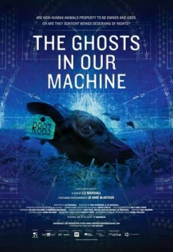 Постер: Призраки в нашей машине (2013)