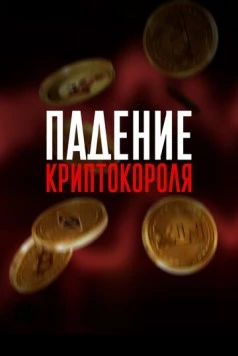 Постер: Падение криптокороля / Downfall of the Crypto King (2024)