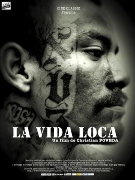 Постер: Безумная жизнь / La vida loca (2008)