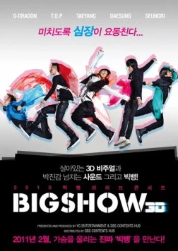 Постер: Концерт Big Bang 3D / 2010 Big Baeng Laibeu Konseoteu Bijsyo 3D (2010)