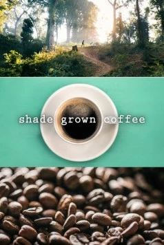 Постер: Кофе в тени / Shade Grown Coffee (2020)